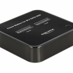 boutique paris DeLock Station D’accueil Et De Clonage USB-C – 2x M.2 SATA – Accessoires Supports De Mémoire 9